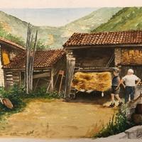 Giornata in Campagna