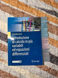 introduzione al calcolo in più variabili Mariconda