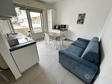 V109 bilocale ristrutturato al piano rialzato