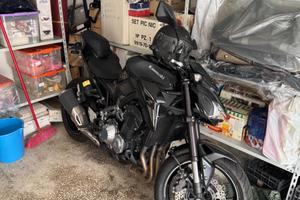 Kawasaki Z 900 - 2017