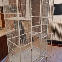 Voliera per pappagalli