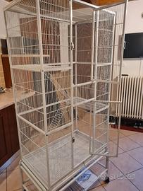 Voliera per pappagalli