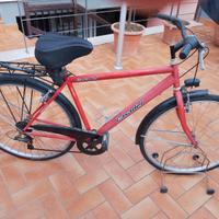 Bicicletta Casadei uomo euro 50