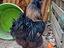 Immagine 2