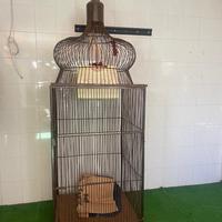 3 gabbie arredamento