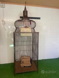 3 gabbie arredamento