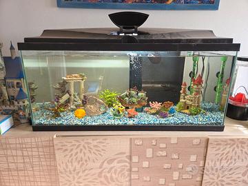 acquario 71 litri