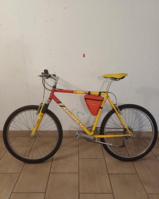 MOUNTAIN BIKE BIANCHI 