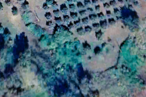 Vedo terreno Agricolo