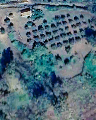 Vedo terreno Agricolo