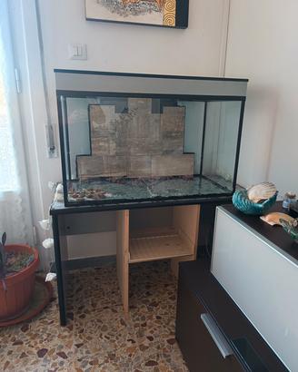 Acquario semi nuovo