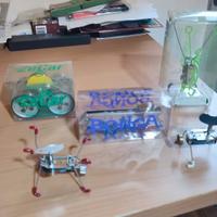 Giochi a molla Kikkerland