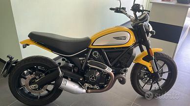 Ducati Scrambler Icon 800