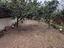 Immagine 26