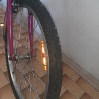 bici bambina fino a 12/13 anni