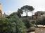 Immagine 11