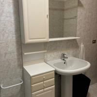 Bagno mobile e lavandino