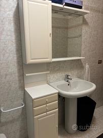 Bagno mobile e lavandino