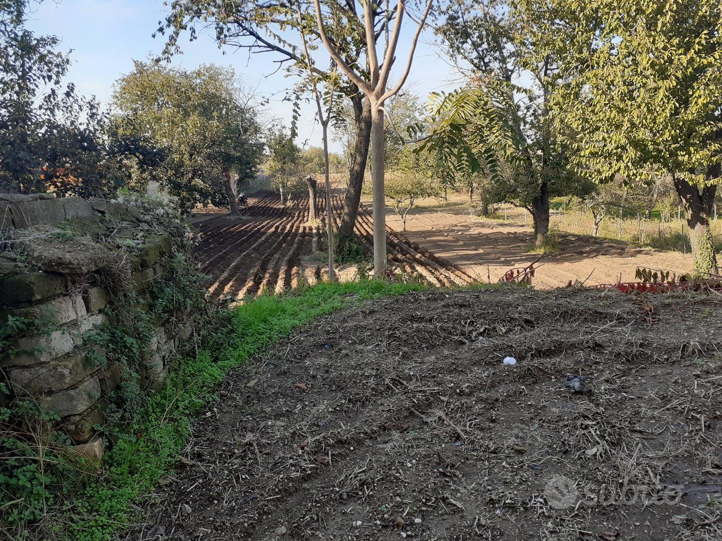 Terreno agricolo - Vista 2