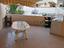 Immagine 26