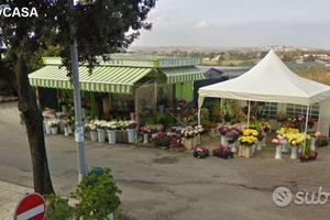 Cessione attivita' fioraio falconara