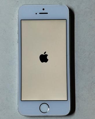 Schermo LCD iPhone 5S 5SE