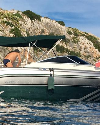 Sea ray 245 weekender