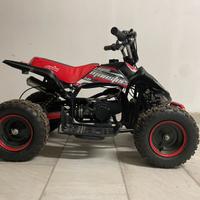 Quad MINI MONSTER 50cc