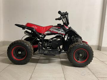 Quad MINI MONSTER 50cc
