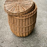 CESTA IN VIMINI 