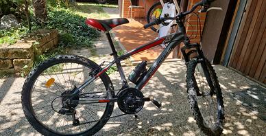 Mountain Bike da ragazzo