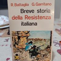 breve storia della resistenza