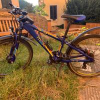 Bicicletta Mountainbike per bambini