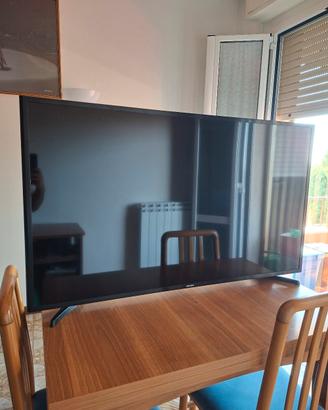 TV Samsung 48" Full HD LED Guasta,/per ricambi.