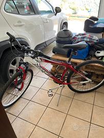 MTB Mountain Bike 26” usata