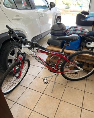 MTB Mountain Bike 26” usata