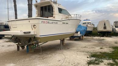 Zaniboni 31