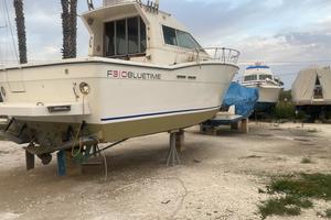 Zaniboni 31