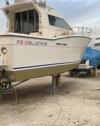 Zaniboni 31