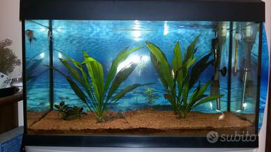 Acquario completo askoll tenerif stilus 114 Litri