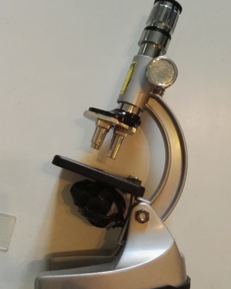 Microscopio