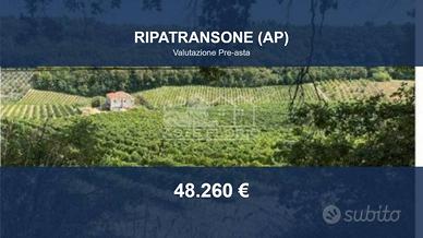 Immobile in asta di 22880 m² a Ripatransone