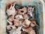 Immagine 2