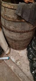 Botte vino