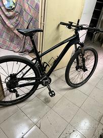Mtb 29