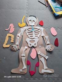 Scatola Attrezzi in Legno + Omaggio corpo umano