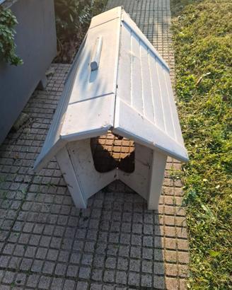 Cuccia per cani taglia media