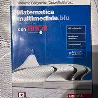 Matematica multimediale.blu 2