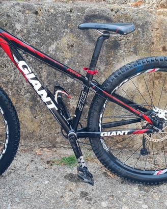Giant atx
