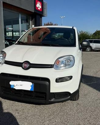 FIAT Panda 1.0 FireFly 70cv S&S Hybrid Pandina